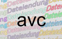 avc Datei