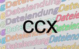 ccx Datei