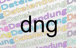 dng Datei