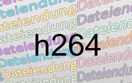 h264 Datei