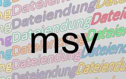 msv Datei