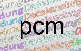 pcm Datei