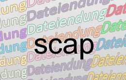 scap Datei